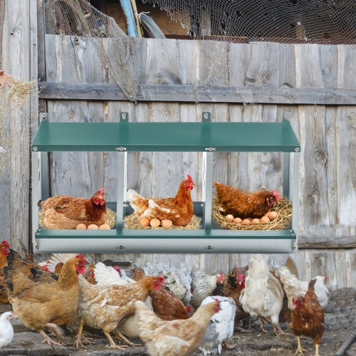 3-Compartment Metal Chicken Nesting Boxes – Galvanized Steel Nesting Box for Hens