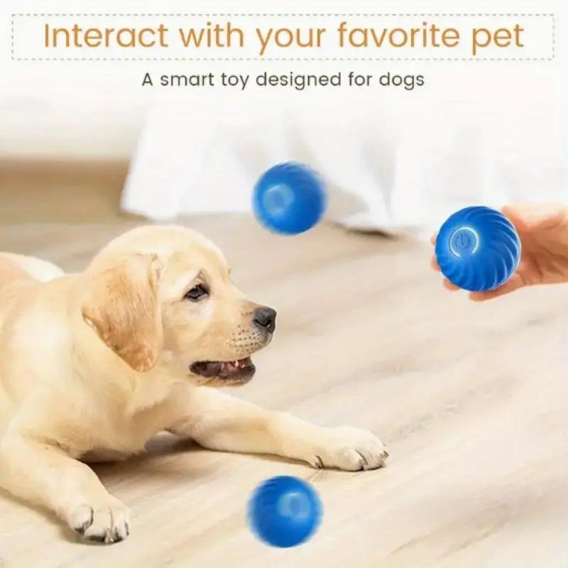 Interactive Pet Bounce Ball Toy for Dogs & Cats – Durable Bouncy Play Ball