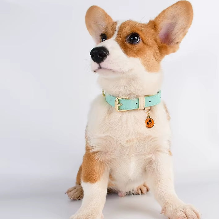 Adjustable Leather Dog Collar for Small Medium and Large Dogs