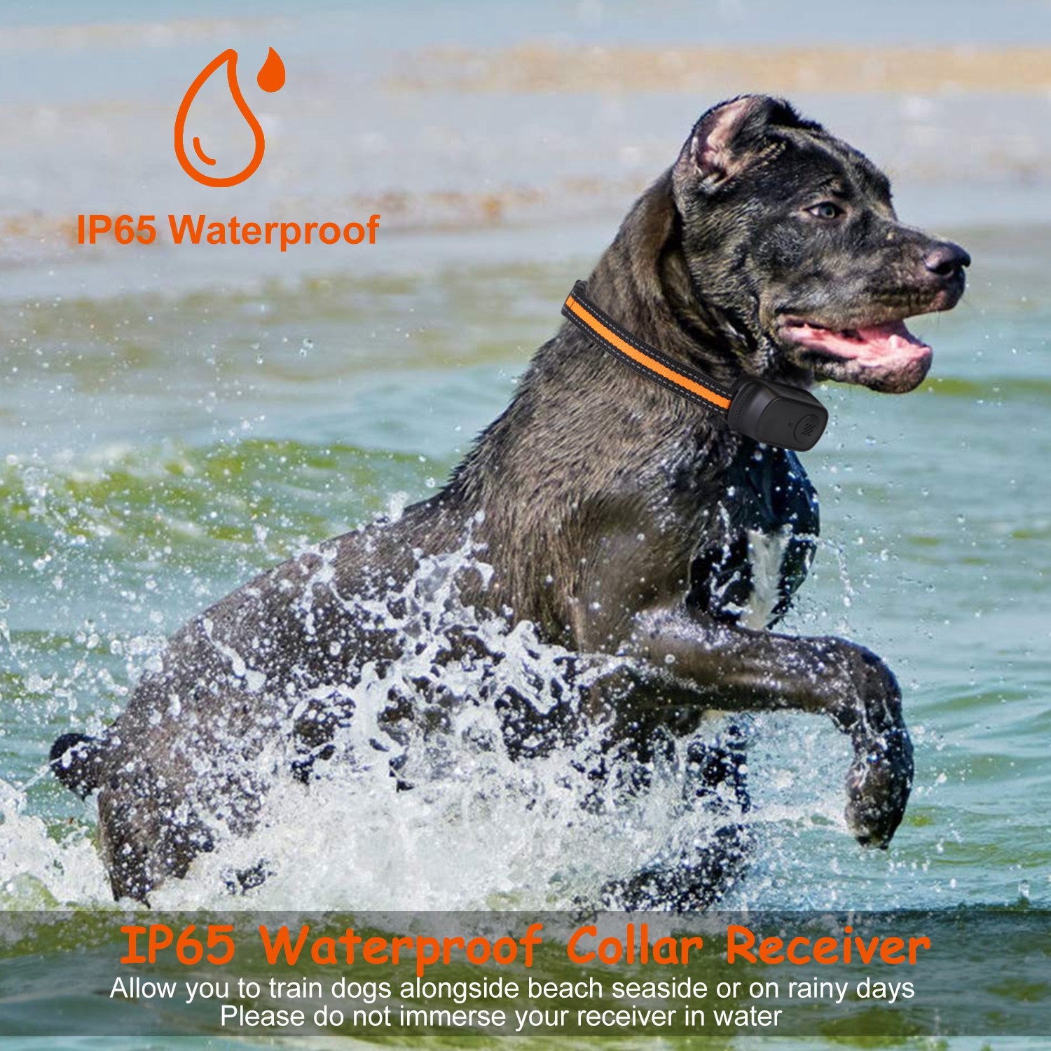 Rechargeable Dog Training Collar with Remote – Waterproof Beep & Vibration Training System