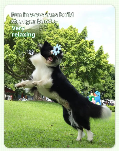 Interactive Dog Flywheel Frisbee Toy for Fun Play and Bonding
