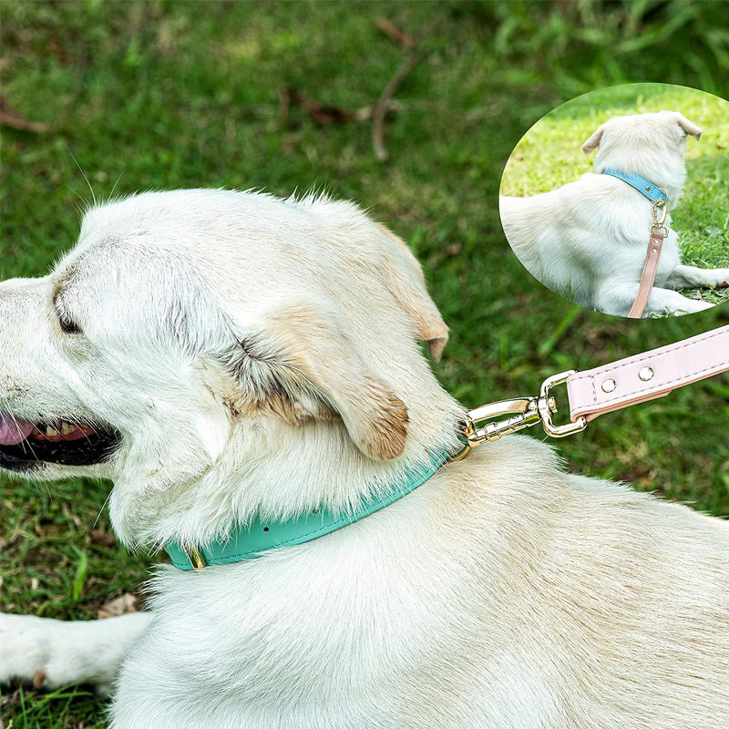 Adjustable Leather Dog Collar for Small Medium and Large Dogs