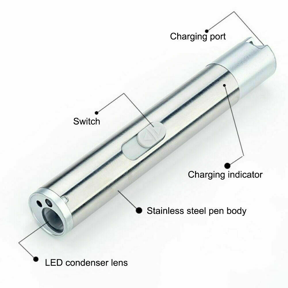 3-in-1 Laser Pointer USB Rechargeable UV Flashlight Pet Toy