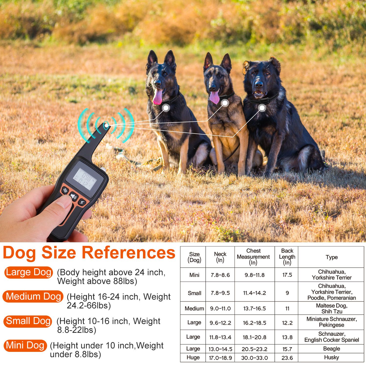 3280FT Dog Training Collar with Remote and Receiver Options