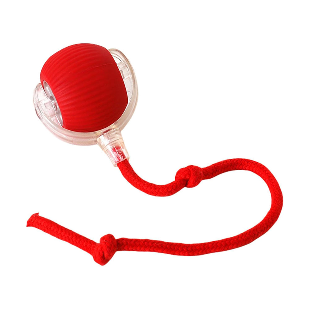 Premium Interactive Rolling Cat Ball Toy for Active Play