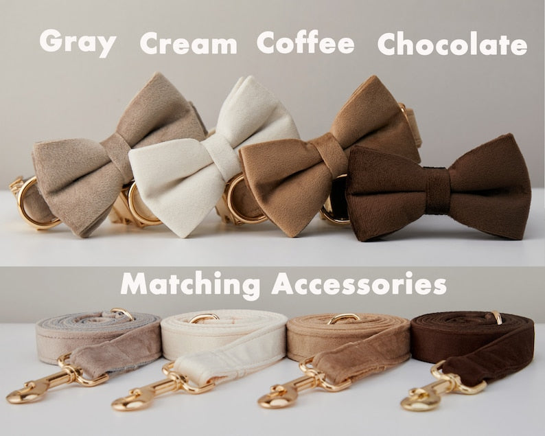 Luxury Velvet Dog Collar and Leash Set Personalized Bow Design