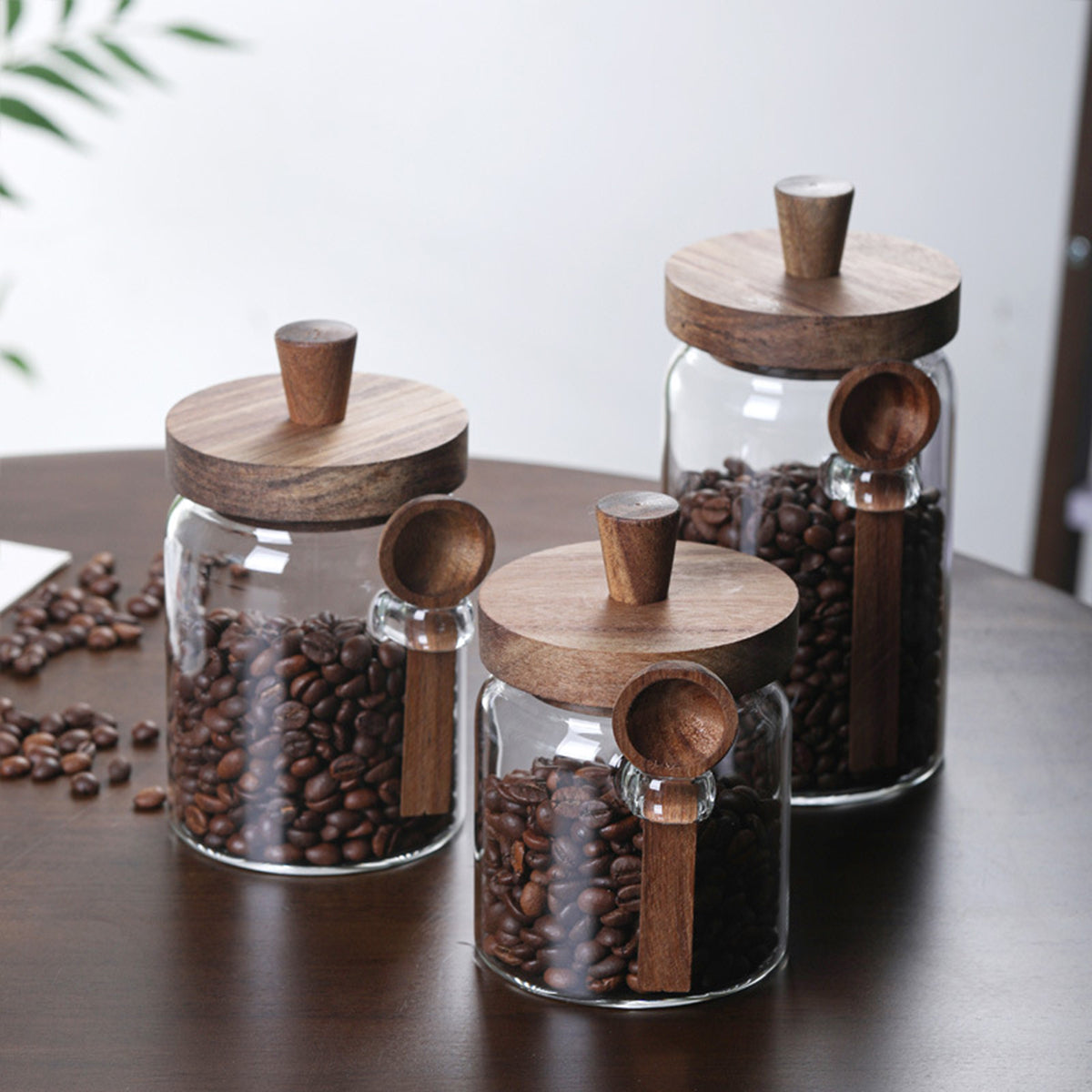 3Pcs Glass Storage Jars with Spoons for Coffee Tea & Candy