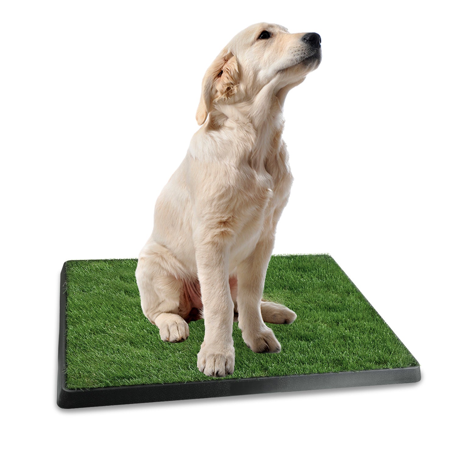 Artificial Grass Dog Potty Training Pad with Tray for Indoor Use