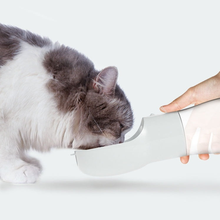 Portable Dog Water Dispenser for Travel Outdoor Pet Hydration