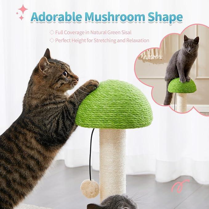 Premium Mushroom Cat Scratching Post with Ball Track Toy Board