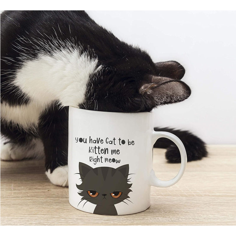 Funny Cat Coffee Mug 325ml Cute Novelty Tea Cup Gift
