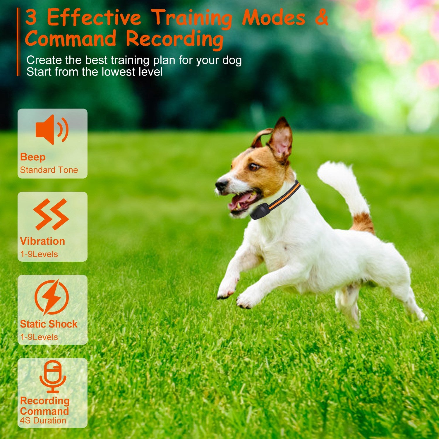 Rechargeable Dog Training Collar with Remote – Waterproof Beep & Vibration Training System