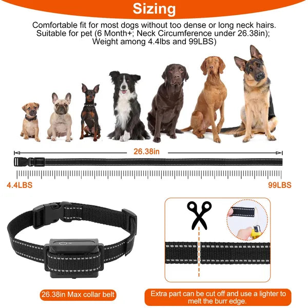 Waterproof Dog Training Collar Receiver with Beep Vibration Shock