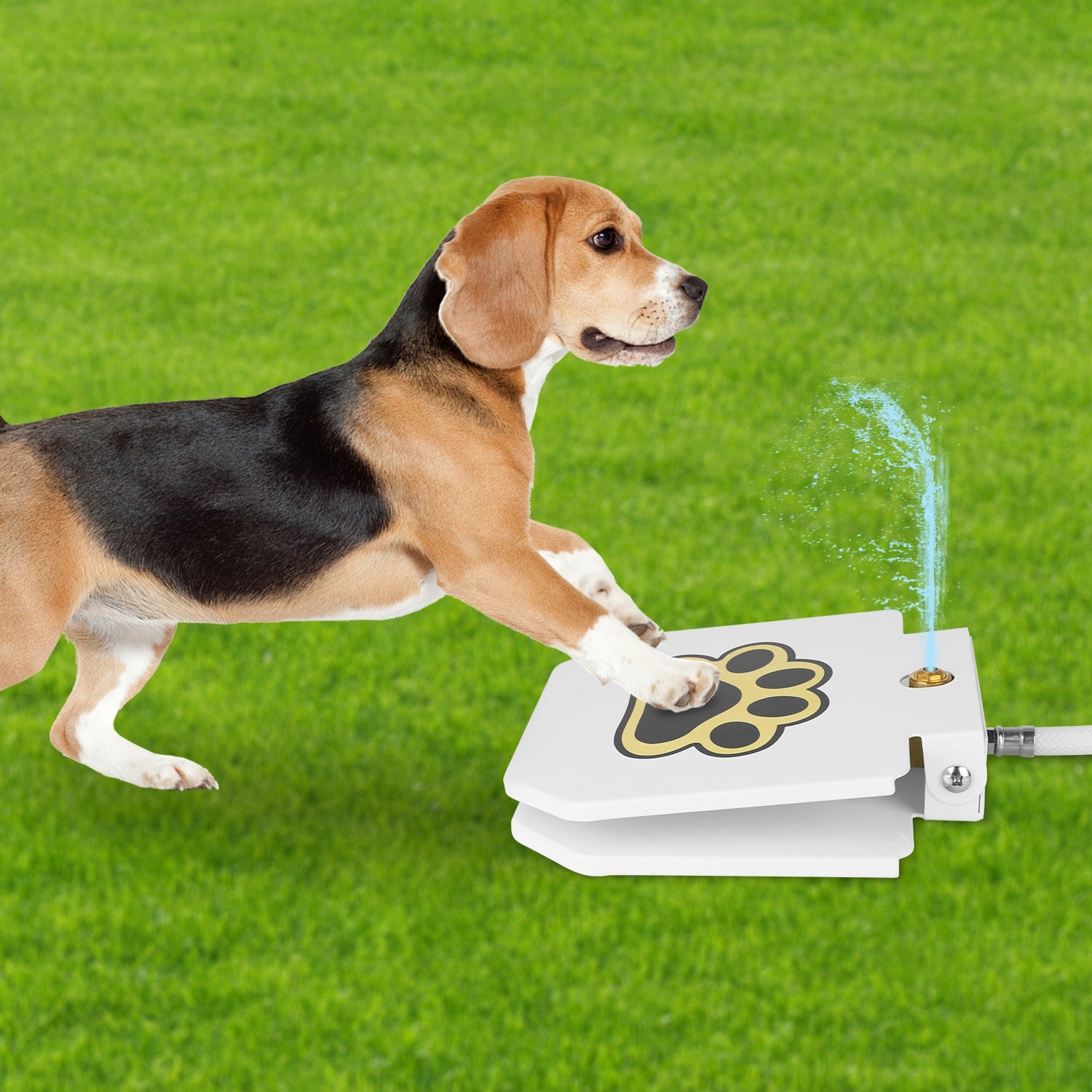Outdoor Dog Water Fountain Step On Paw Activated Drinking Sprinkler