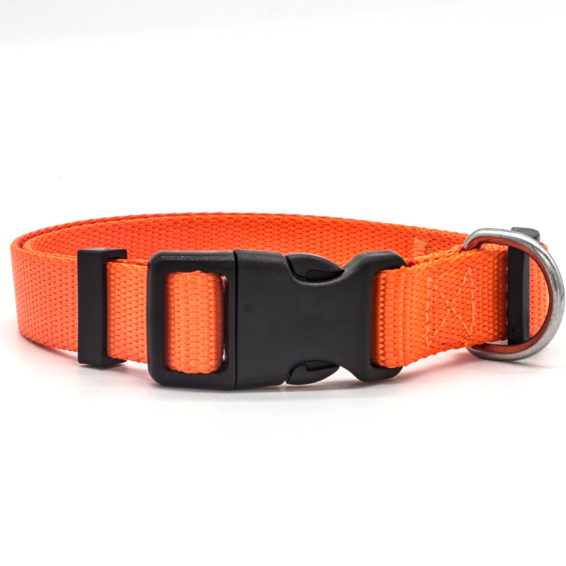 Premium Pet Collar Adjustable Durable Comfortable Everyday Use