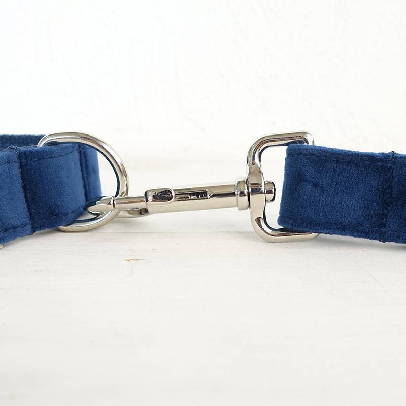 Bow Pet Collar and Traction Dog Chain for Small and Large Pets