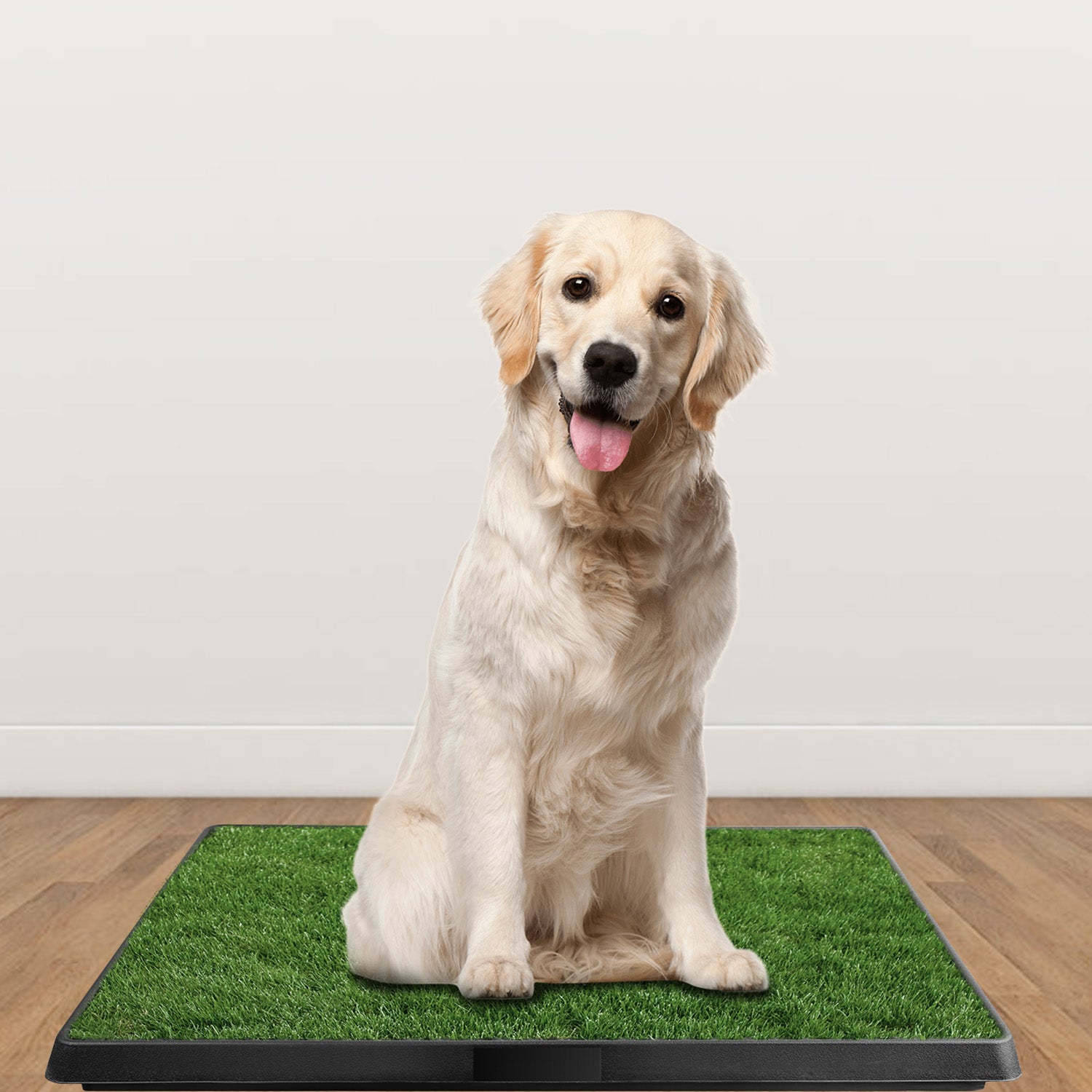 Artificial Grass Dog Potty Training Pad with Tray for Indoor Use