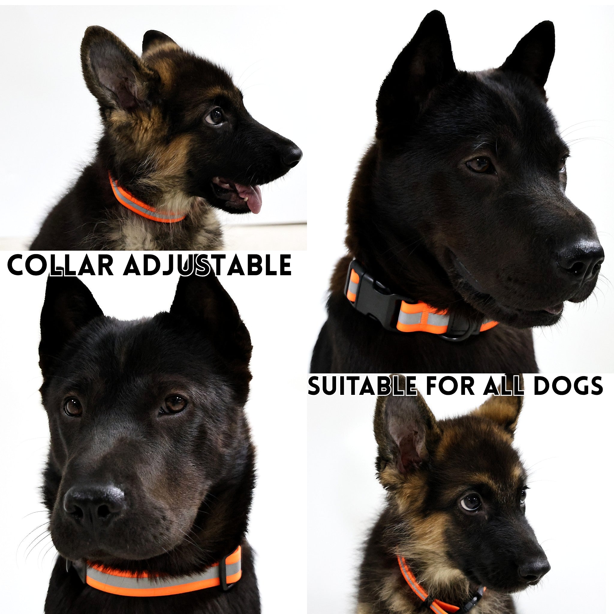 Premium Reflective Dog Leash Set Safety Outdoor Walking Gear