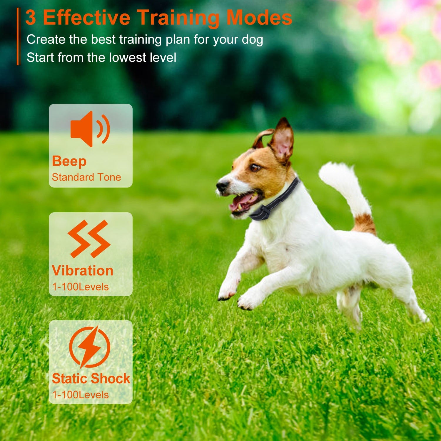 3280FT Dog Training Collar with Remote and Receiver Options