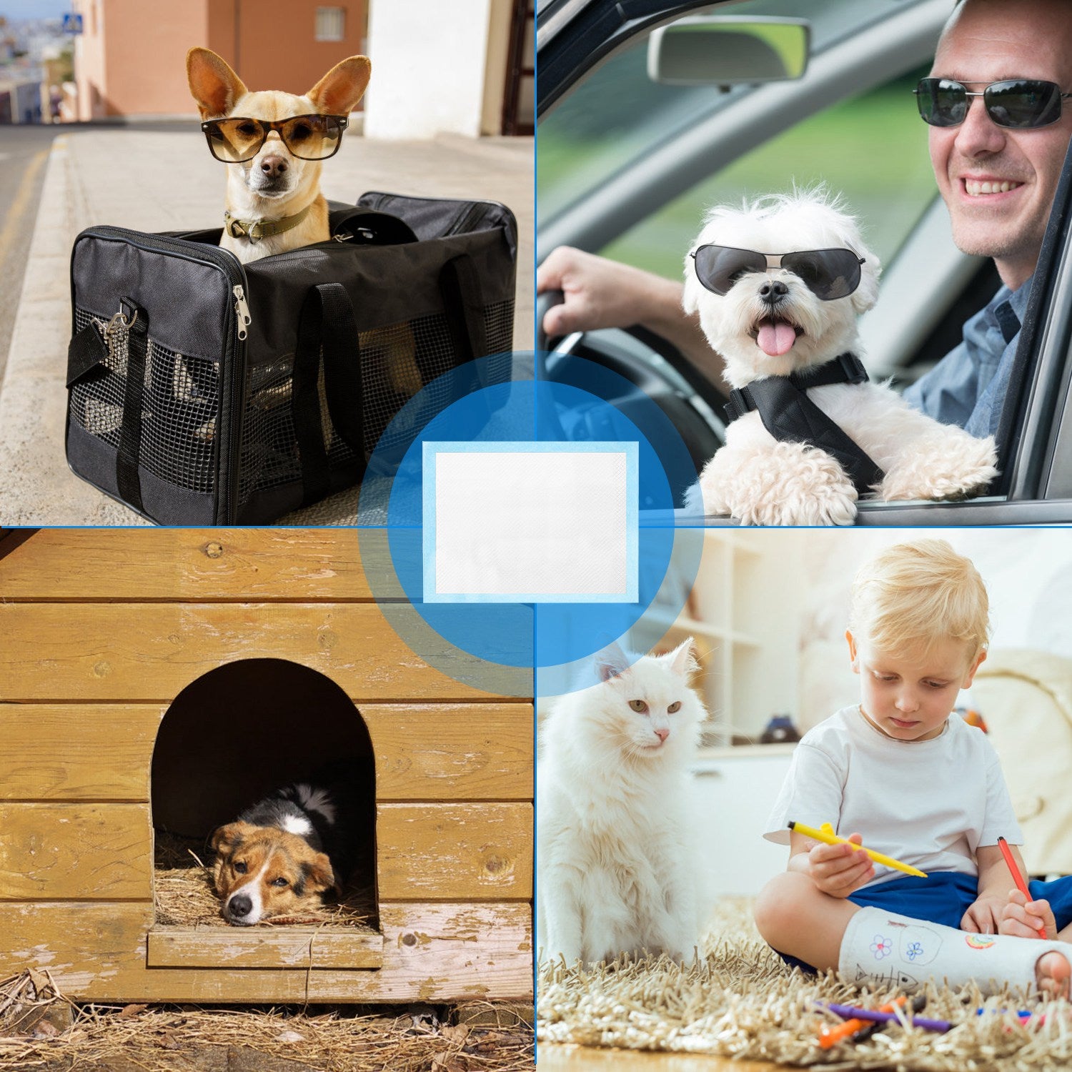 50PCS Dog Training Pads for Puppies and Cats Leak-Proof Design