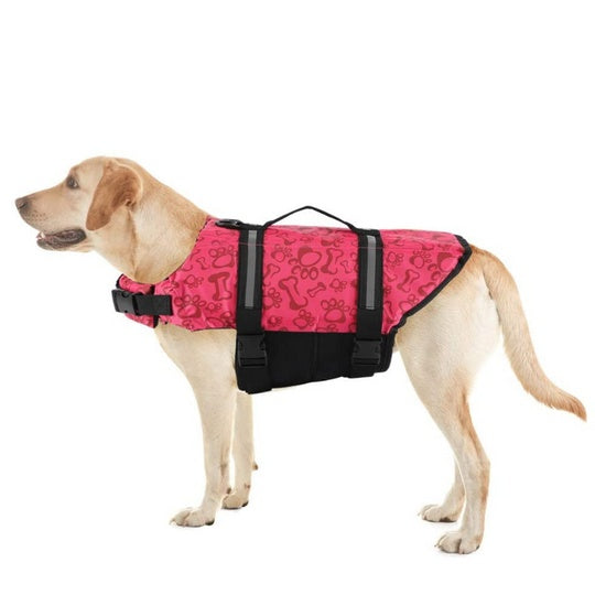 Paw Roll Pet Toy for Active Play and Healthy Development