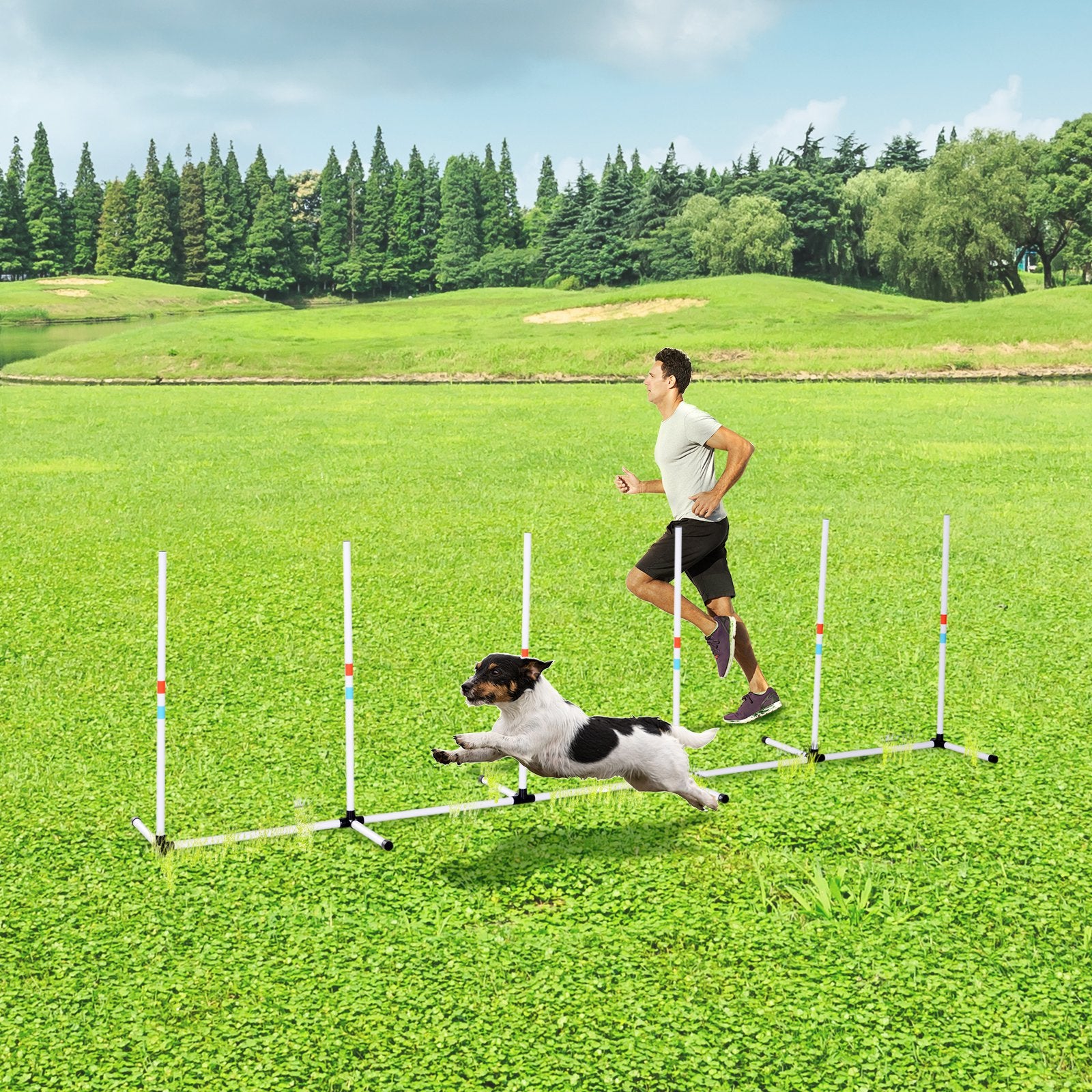 Premium Dog Weave Poles Agility Training Set with Storage Bag