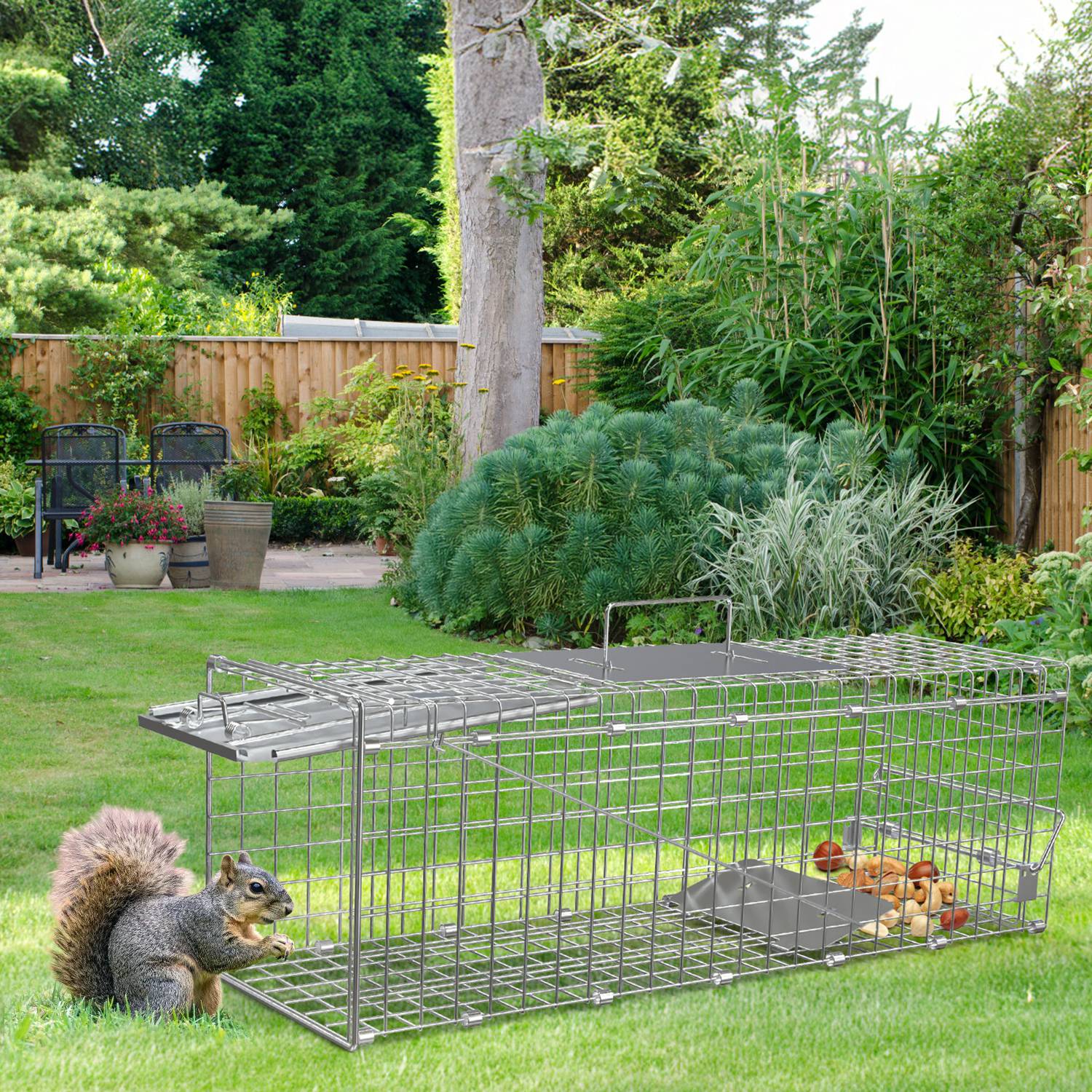 Premium Folding Humane Animal Trap Cage Easy Catch and Release