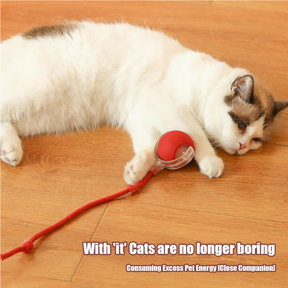 Premium Interactive Rolling Cat Ball Toy for Active Play
