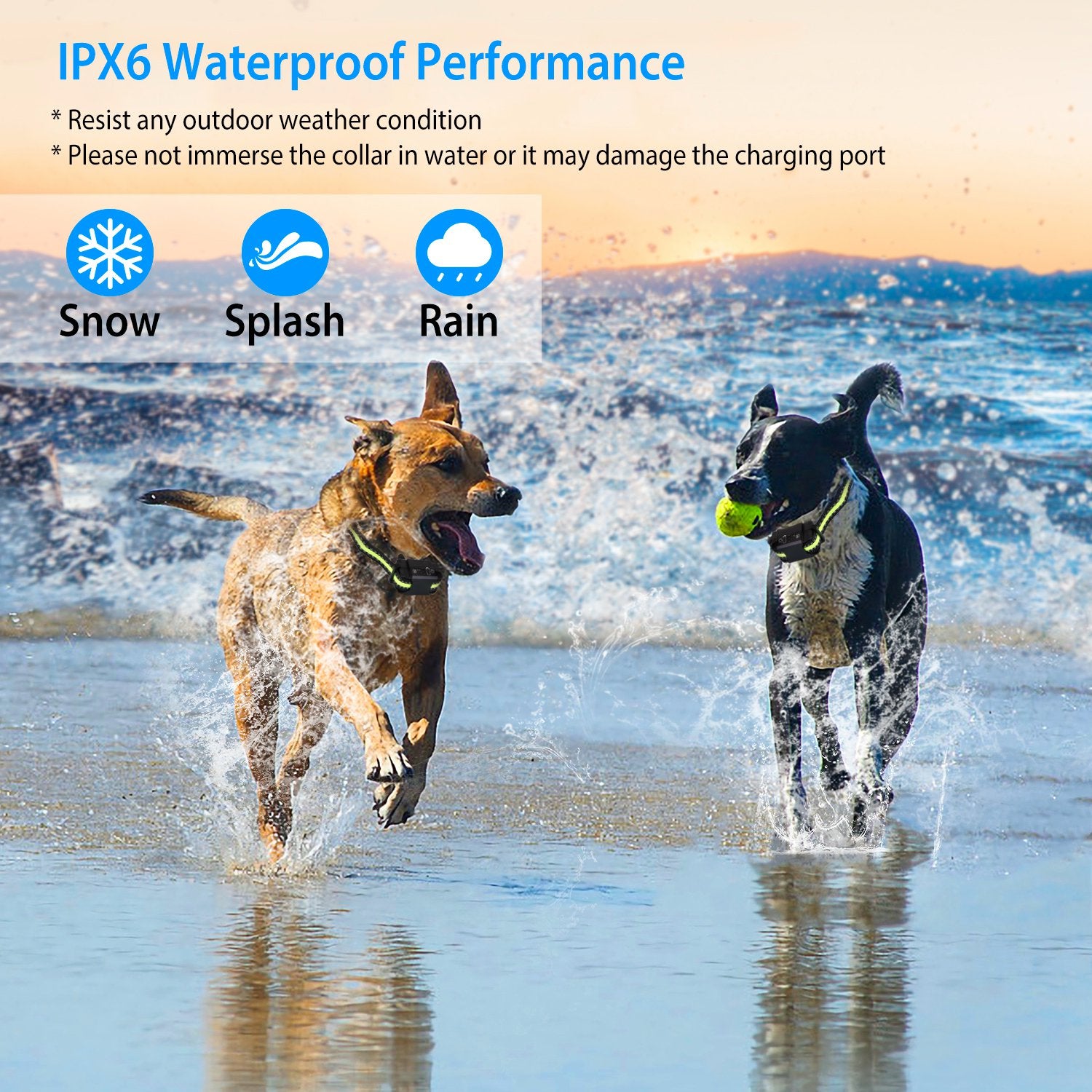 Rechargeable Dog Bark Collar with Waterproof Beep & Vibration Modes