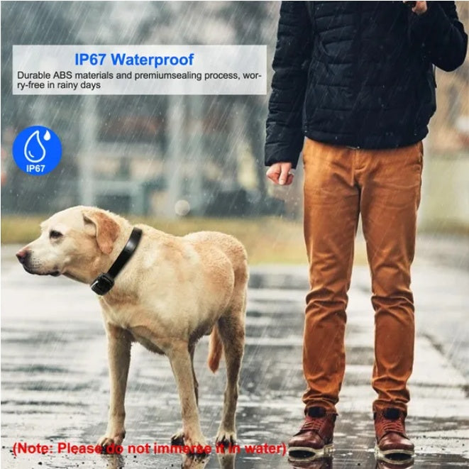IP67 Waterproof Dog Training Collar Receiver Durable Control