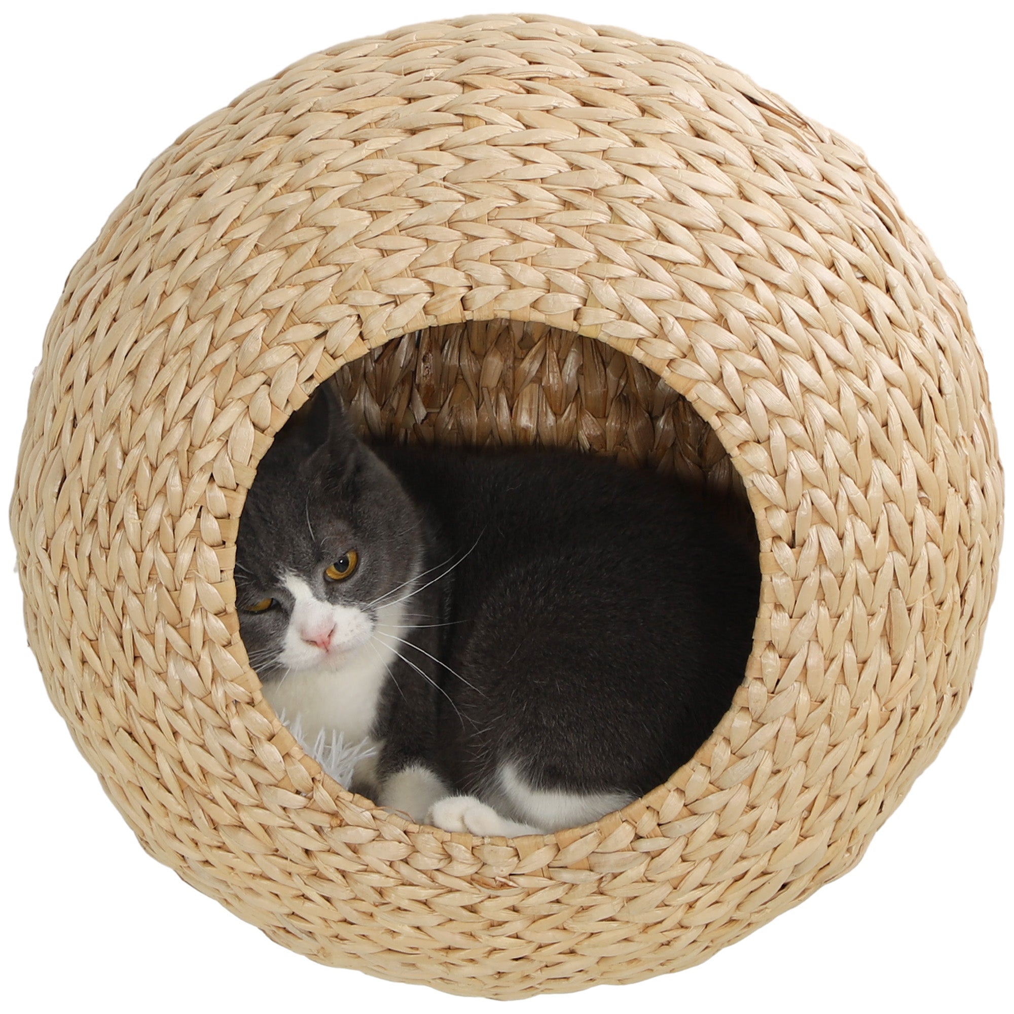 Wall Mounted Cat Condo with Washable Cushion – Natural Wood Floating Cat Bed