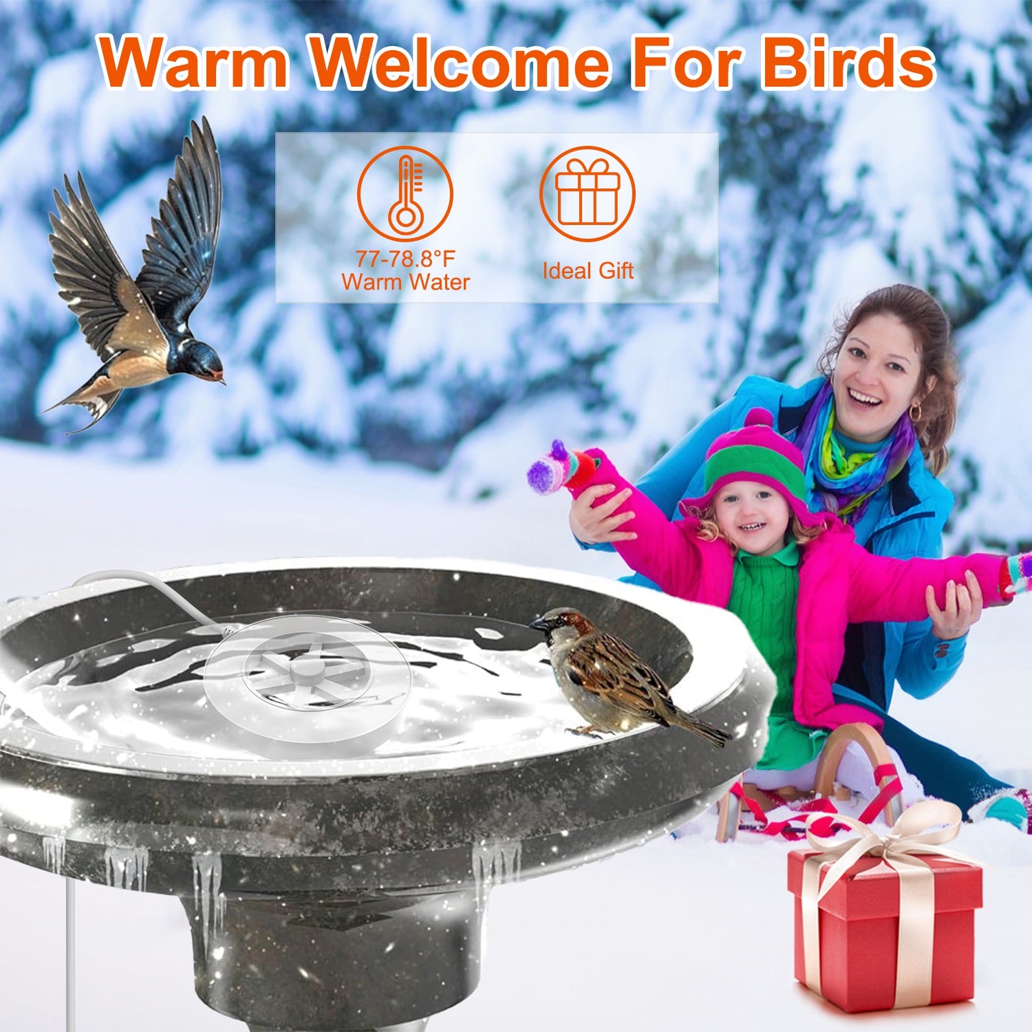 70W Bird Bath Heater Outdoor Winter Deicer Thermostat Safe