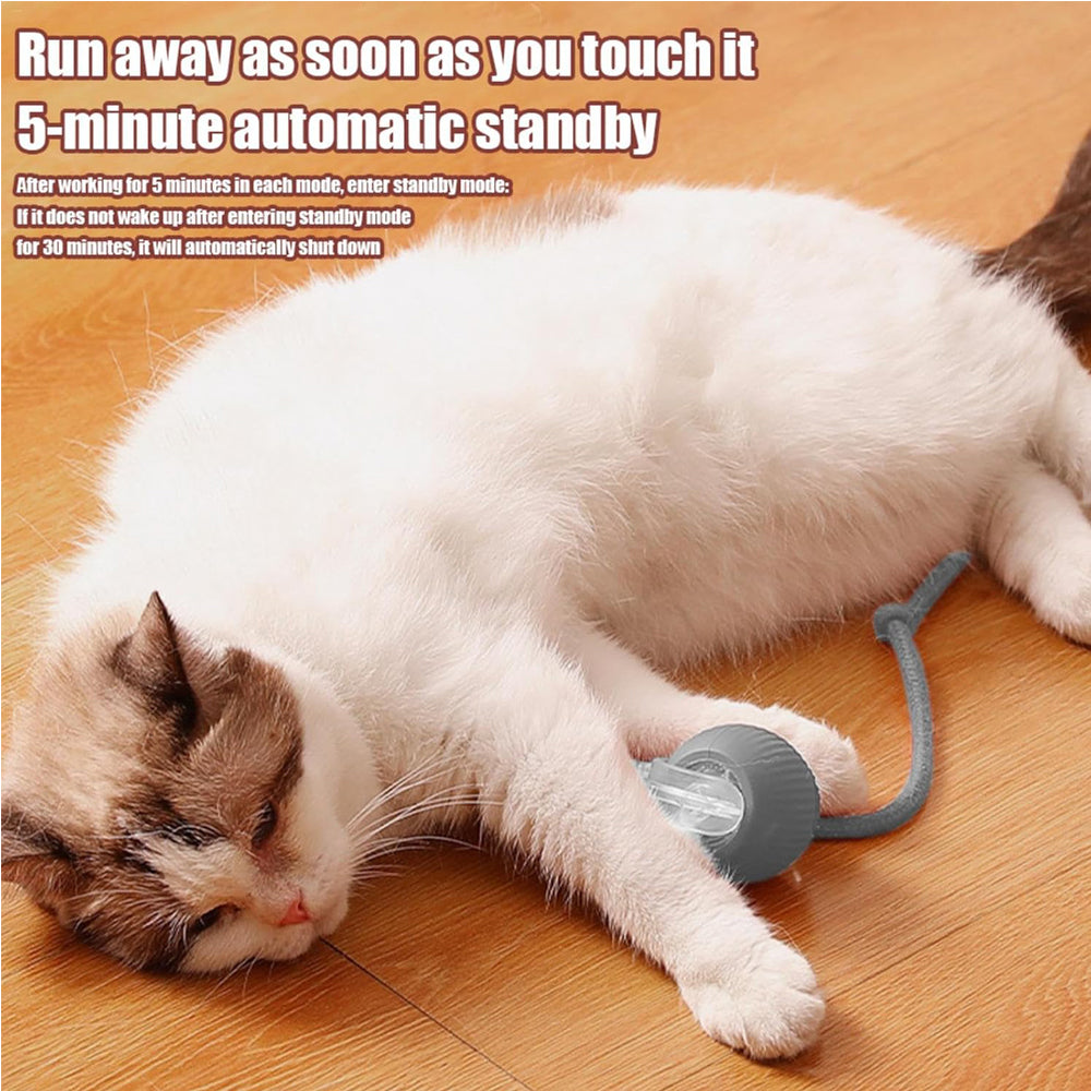 Premium Interactive Rolling Cat Ball Toy for Active Play