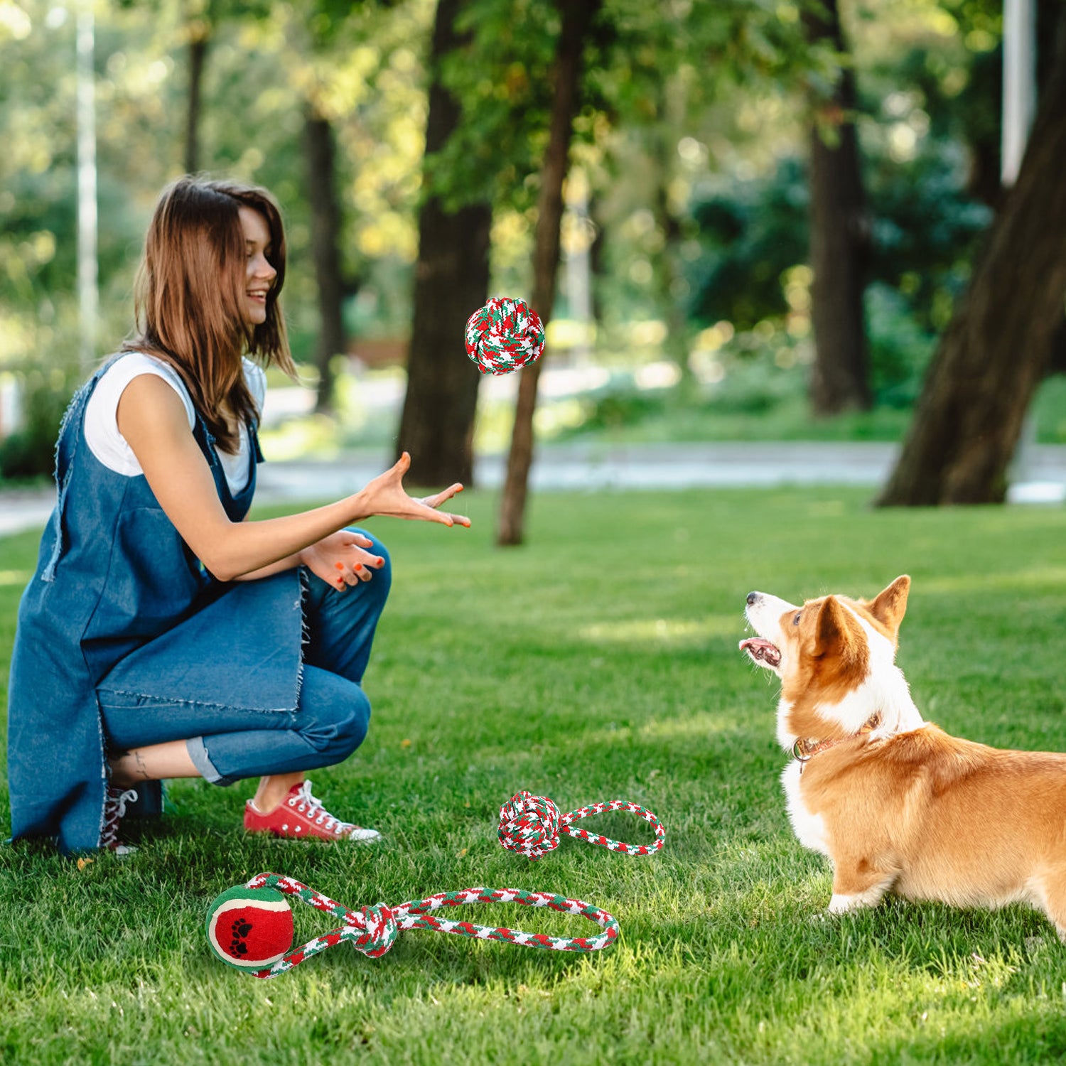 Premium Dog Rope Chew Toy Set for Training and Teething