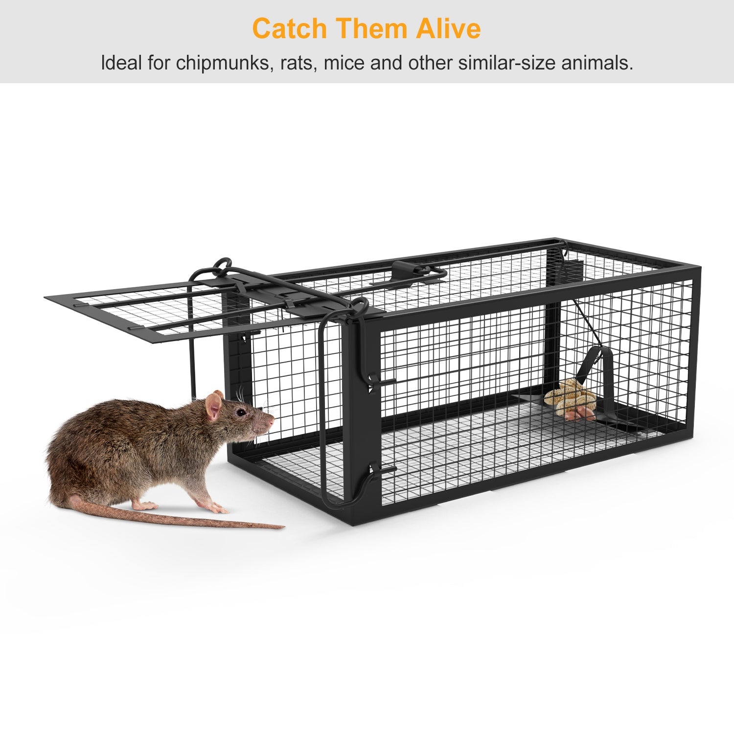 Premium Humane Rat Trap Cage Set for Safe Rodent Control