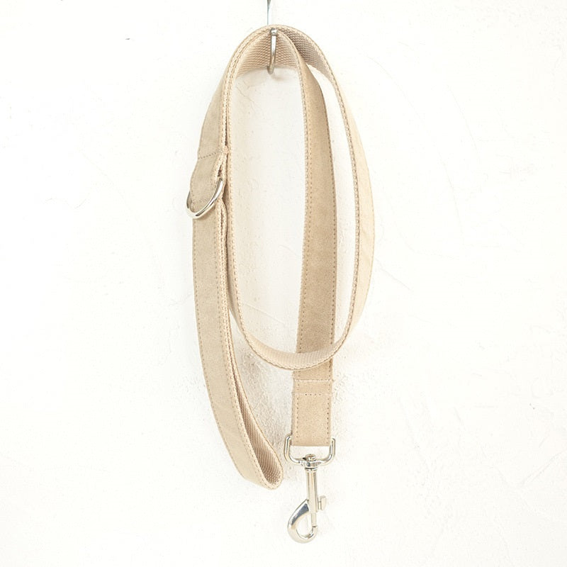 Dog Collar Traction Rope for Strong Control and Daily Walks