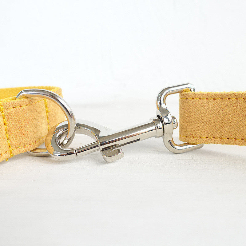 Nala Pet Dog Collar Traction Rope for Comfortable Daily Control