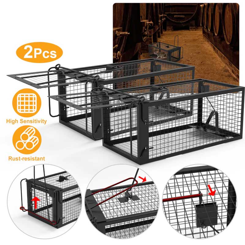Premium Humane Rat Trap Cage Set for Safe Rodent Control