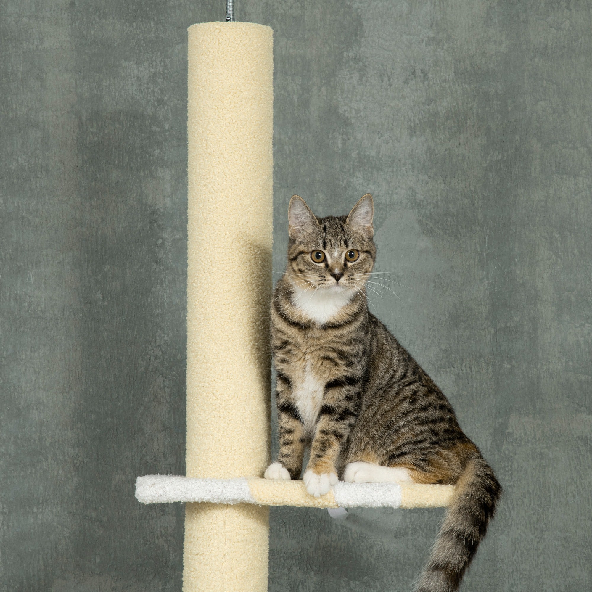 Premium 4 Tier Floor to Ceiling Cat Tree Adjustable Indoor Tower
