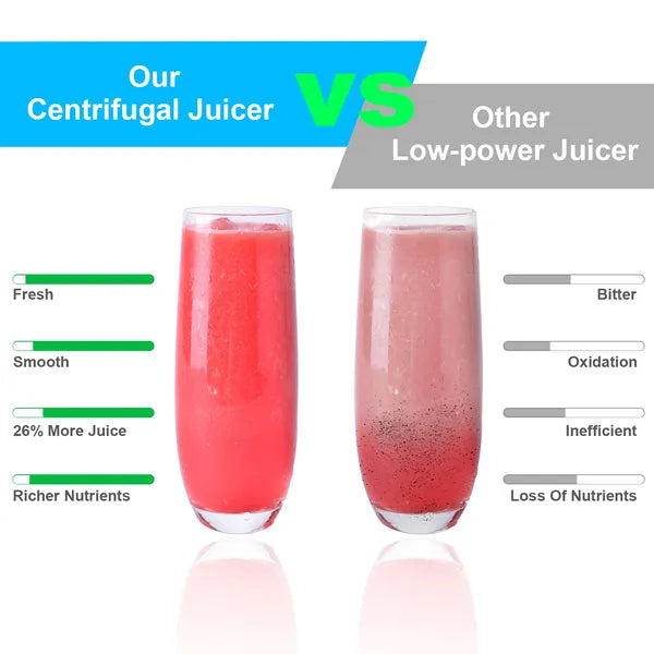 1000W Centrifugal Juicer 2 Speed Fruit Vegetable Juice Maker