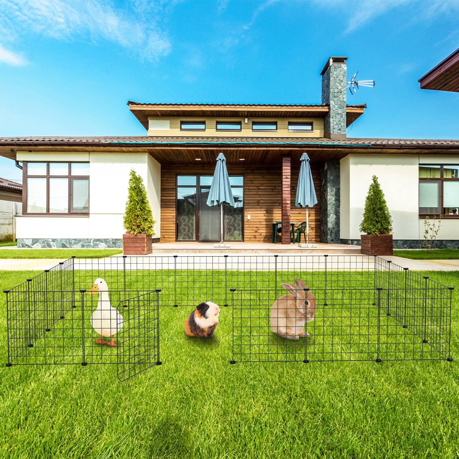 Small Animal Playpen Metal Fence with Door for Indoor Outdoor