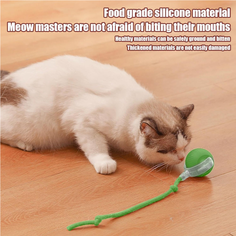 Premium Interactive Rolling Cat Ball Toy for Active Play