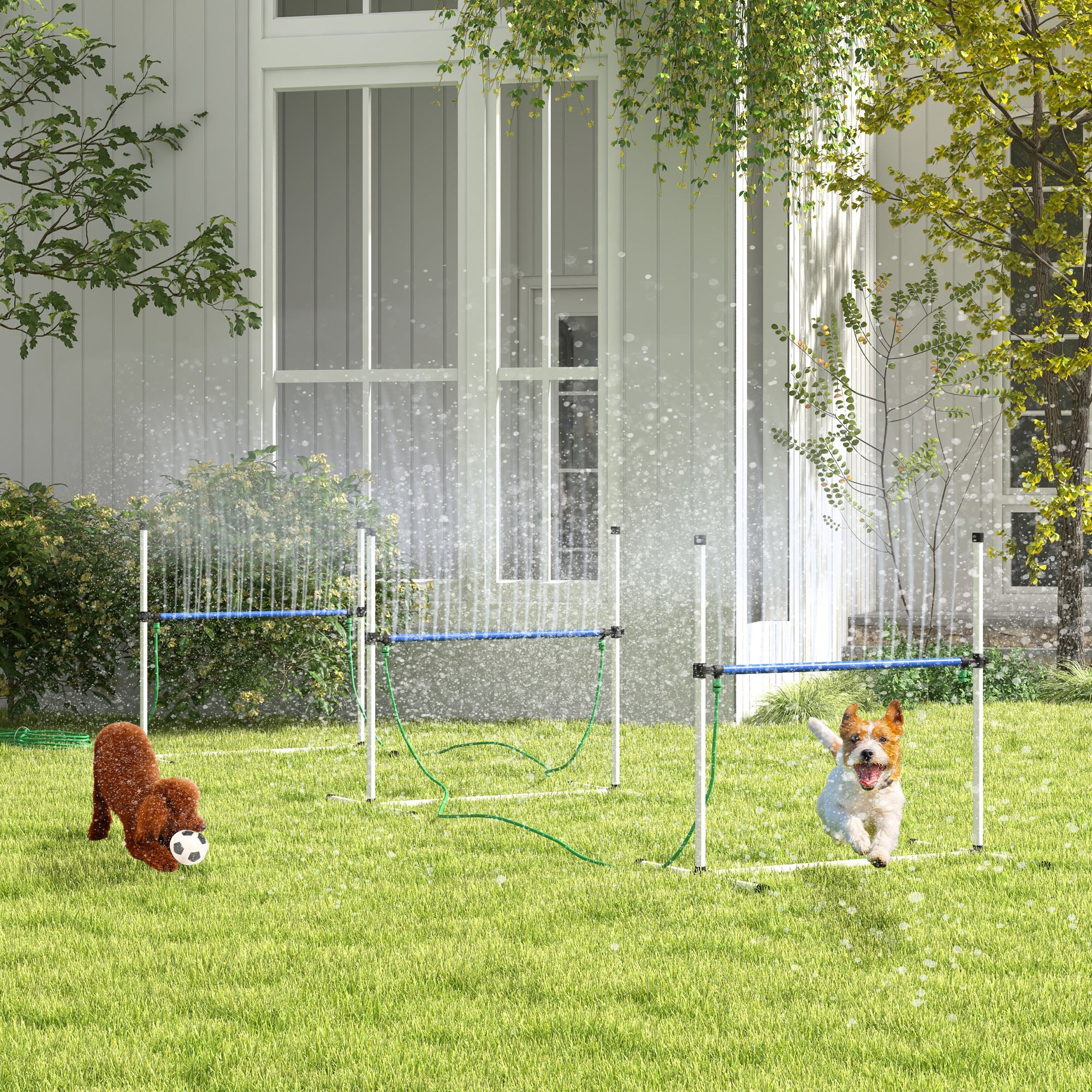 Premium Dog Agility Training Set with Water Spray Tube