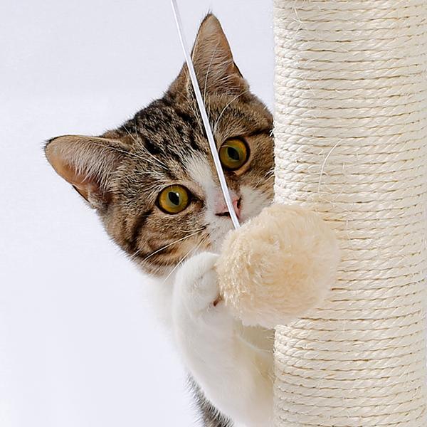 Premium Indoor Cat Scratching Board with Interactive Ball Track Toy