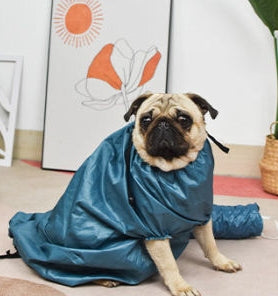 Premium Pet Drying Bag Quick Dry Hair Dryer Bathing Tool