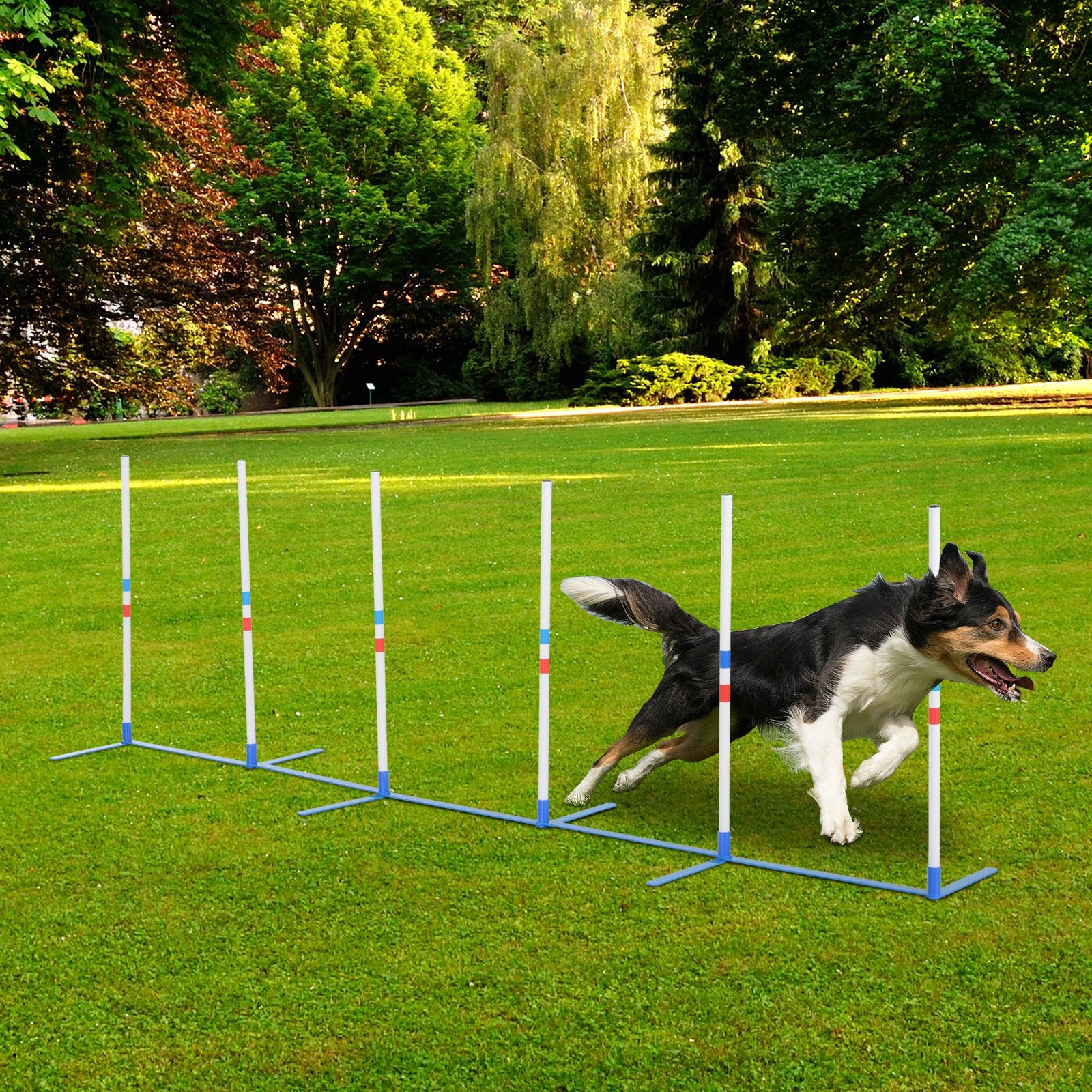 Premium Dog Agility Training Kit with Weave Poles Set