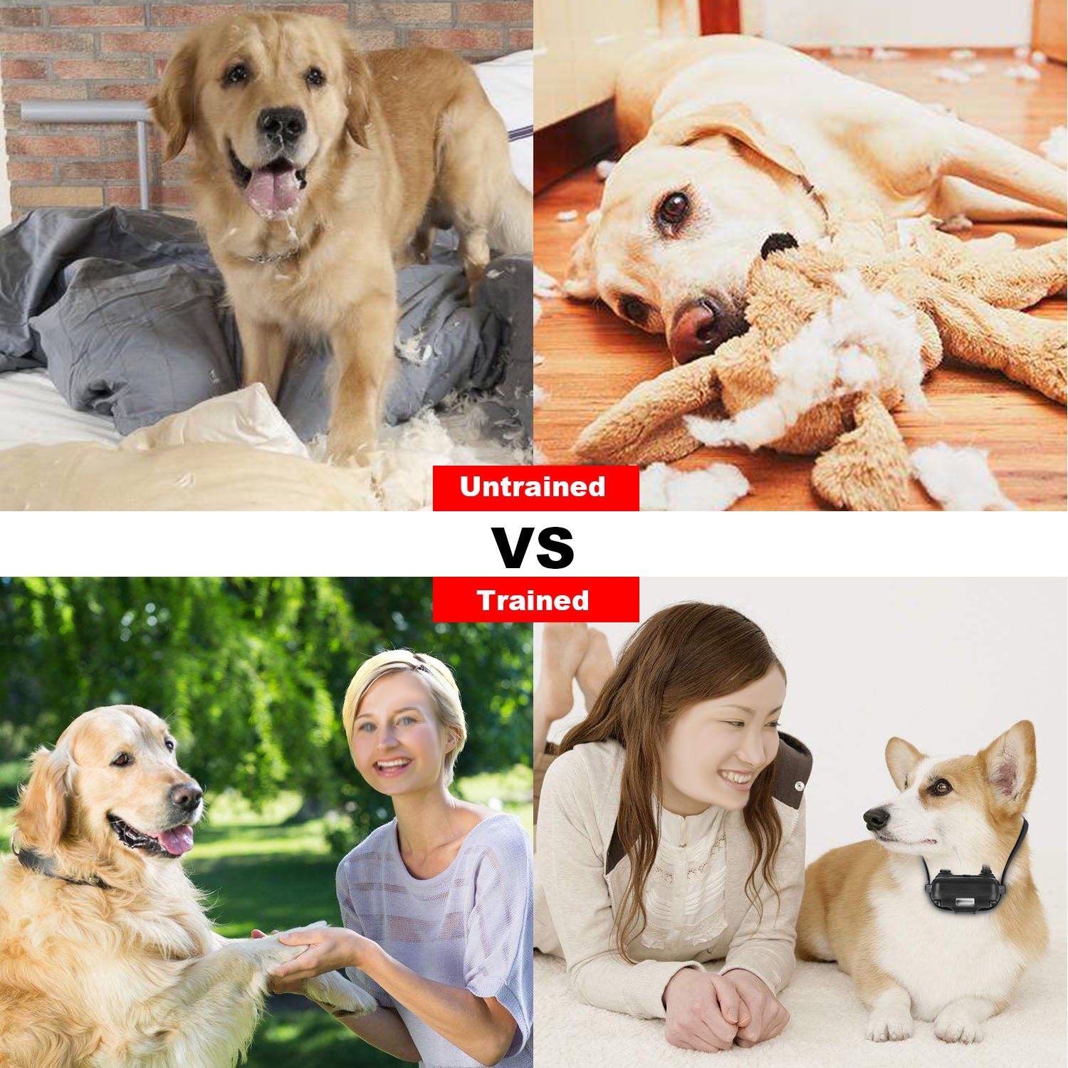 Remote Dog Training Collar with Waterproof Design and 4 Training Modes