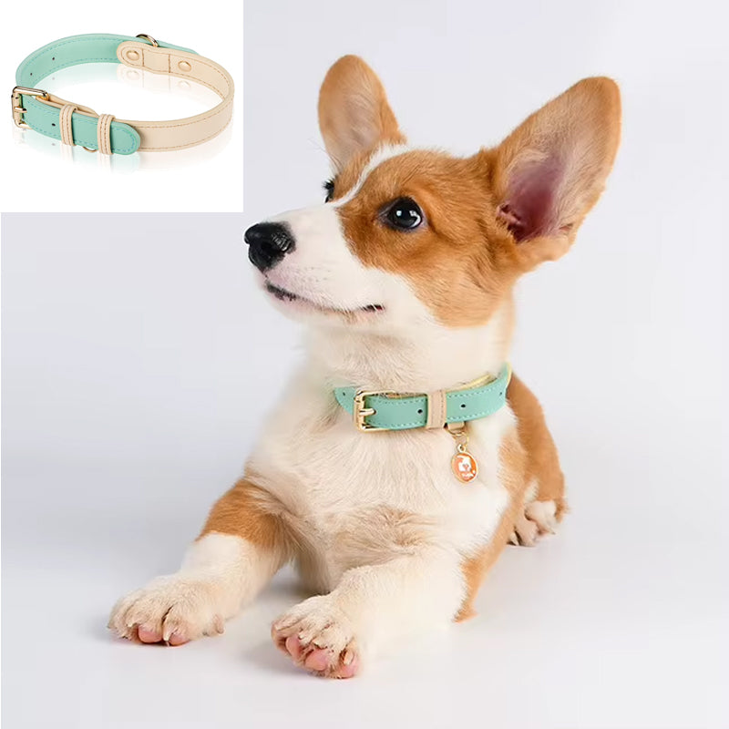 Adjustable Leather Dog Collar for Small Medium and Large Dogs
