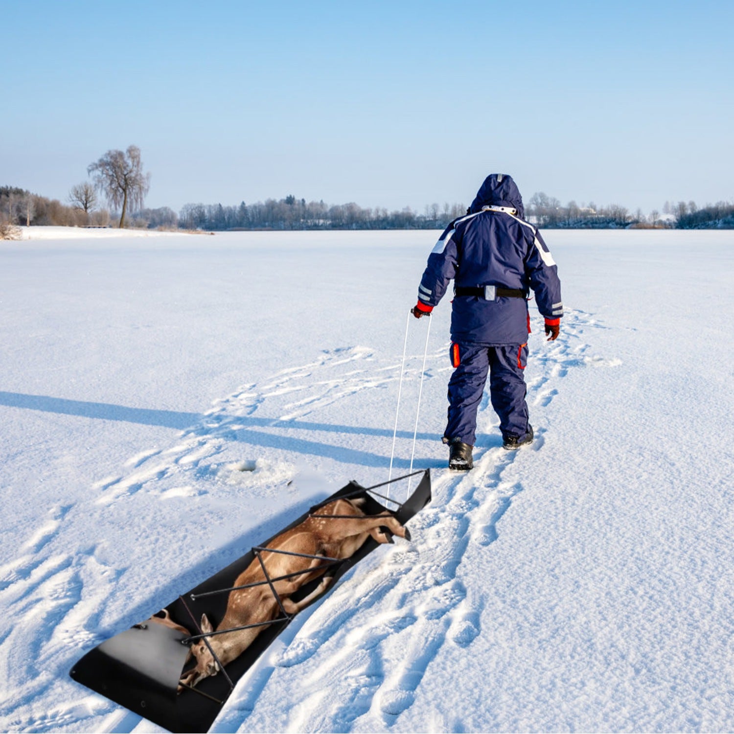 Deer Drag Sled Hauler with Handle for Hunting & Firewood