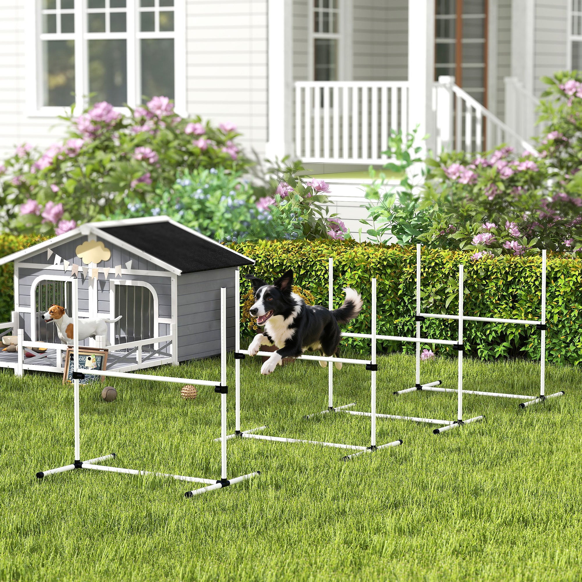 Dog Agility Jump Training Kit – Adjustable Indoor & Outdoor Agility Hurdle Set